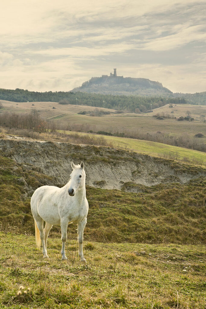 val-dorcia-resort-casanova